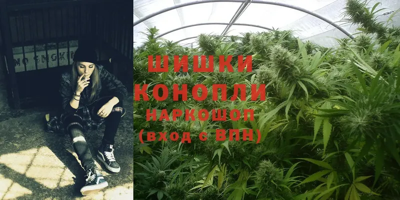 Бошки марихуана White Widow  где купить наркоту  Рыльск 